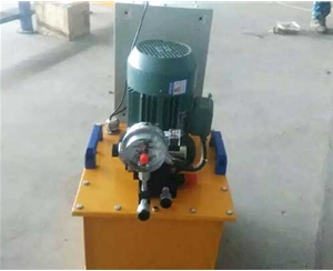 山东标准电动泵供应生产